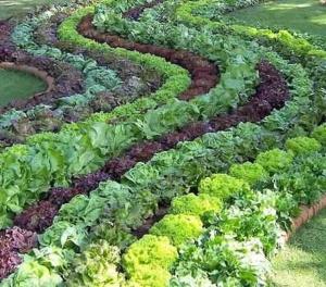 edible-landscaping-design-idea-garden